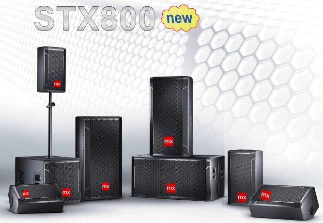 Stx800 Sound System Equipment Professional Speaker Box