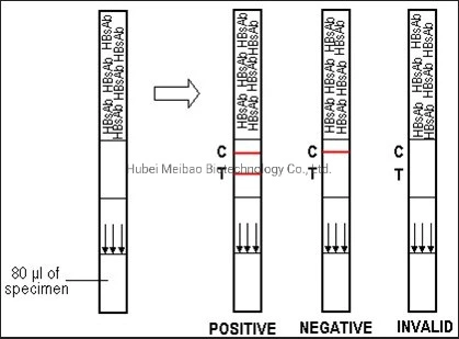 Fabricación personalizada desechables para el Hbsag Kit de prueba de la prueba de Poct VHB