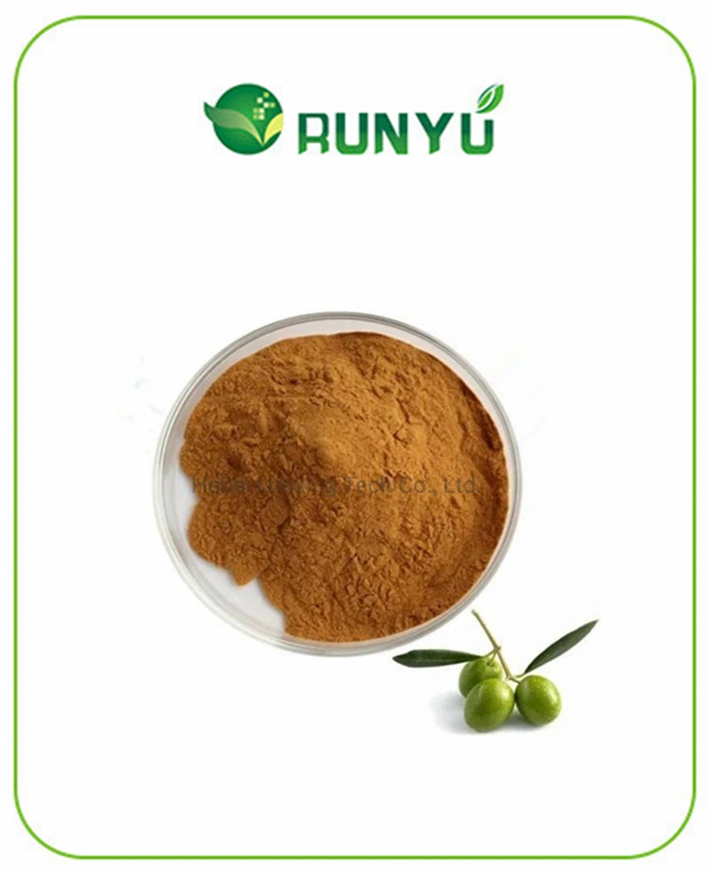 Supply High Quality Olive Leaf Extract Oleuropein Powder