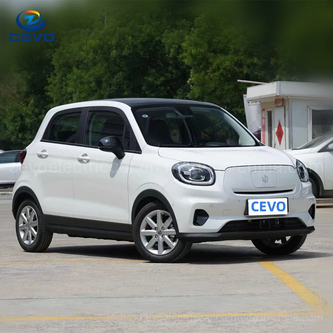 Small Electric Home Cars High Battery Life Best Affordable Wholesale/Supplier Discount Chinese 2023 Cheapest Sedan Mini Leapmotor T03 Electric Car