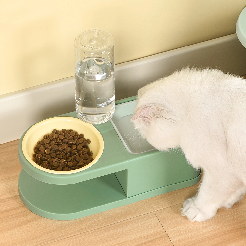 Factory Direct Heighten Multifunction 2 in 1 Bowl Water Food Pet Eating Bowl for Cats Dogs