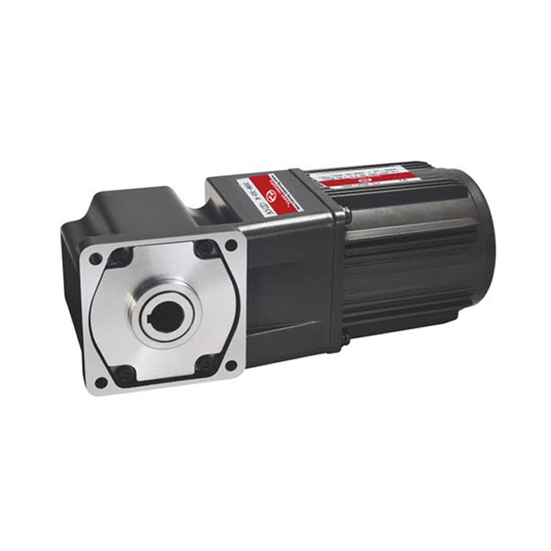 Speed Adjustable 25W 30W 80mm Single-Phase Three-Phase AC Gear Motor for Boiler Mixer