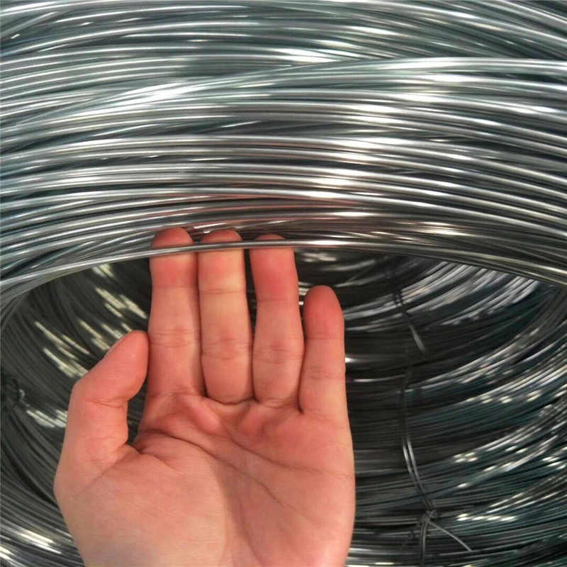 Cheap! Cheap! Low Carbon Hot Dipped Galvanized Steel Wire for Chain Link Fence