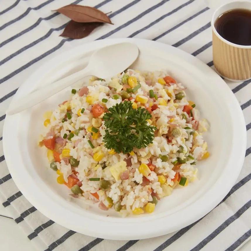 El bagazo de caña de azúcar ecológica biodegradables la pasta de papel de comida rápida restaurante-comedor en la Plaza Mayorista/Proveedor de platos de papel