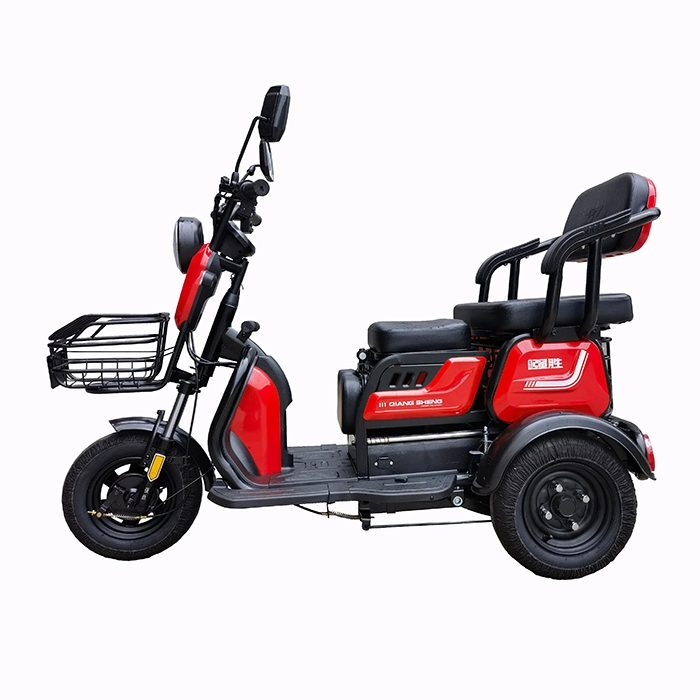 3 Wheel E Bike for Philippines/Canada with Best Price From Original Factory