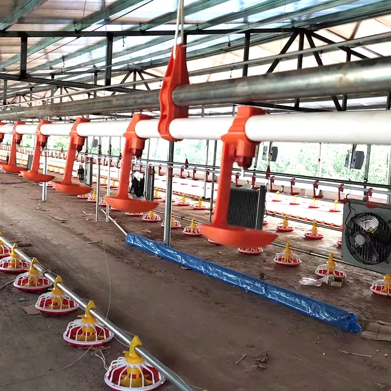 H/a Different Types Automatic Poultry Farm Equipment with Cooling/Heating/Feeding/Drinking System