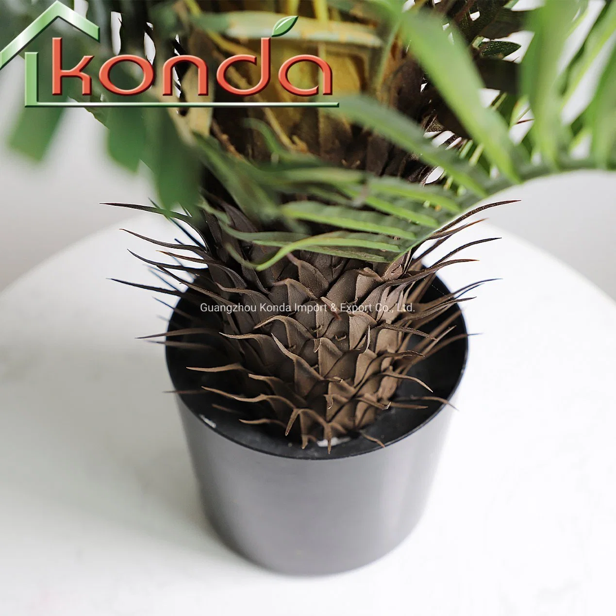 Hot Sale with Plastic Pot Home and Shop Decoration Small Palm Tree Plants