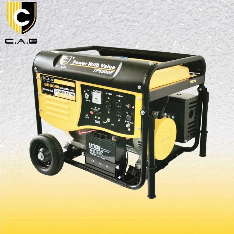 6.0kw Small 3 Phase 240V Gasoline/Natural Gas Backup Power System 6.0kVA Standby Electric Generators