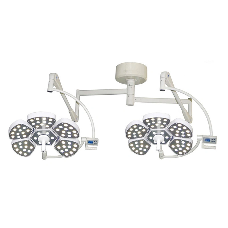 Vet Instruments Double Head Surgical Lamp Ot Operating Room Ceiling Shadowless Surgical LED Light Price