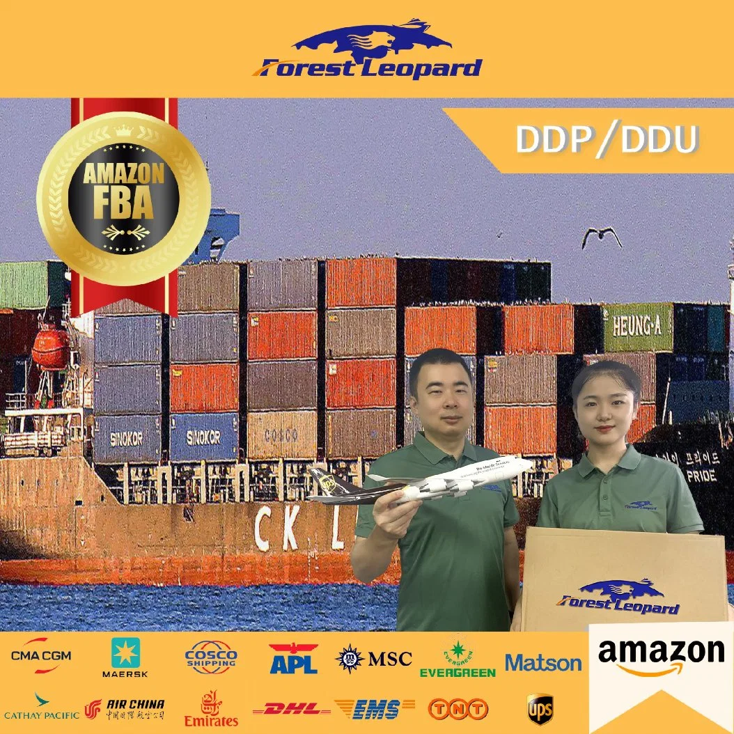 Porta mais barato para o transporte marítimo de porta a partir de Shenzhen Guangzhou China à Europa/UK/EUA Depósito Amazônica