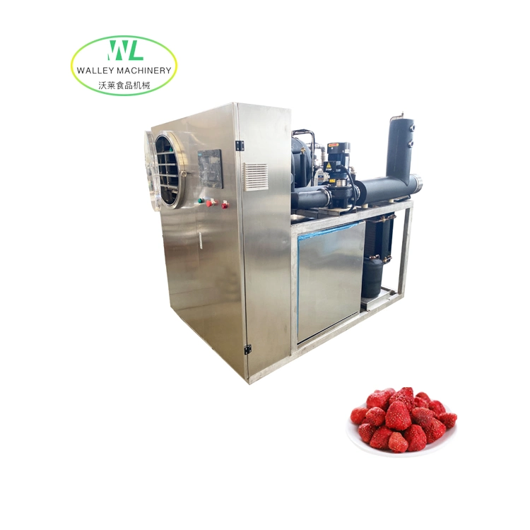 Factory Price Lyophilizer Lab Vacuum Freeze Dryer