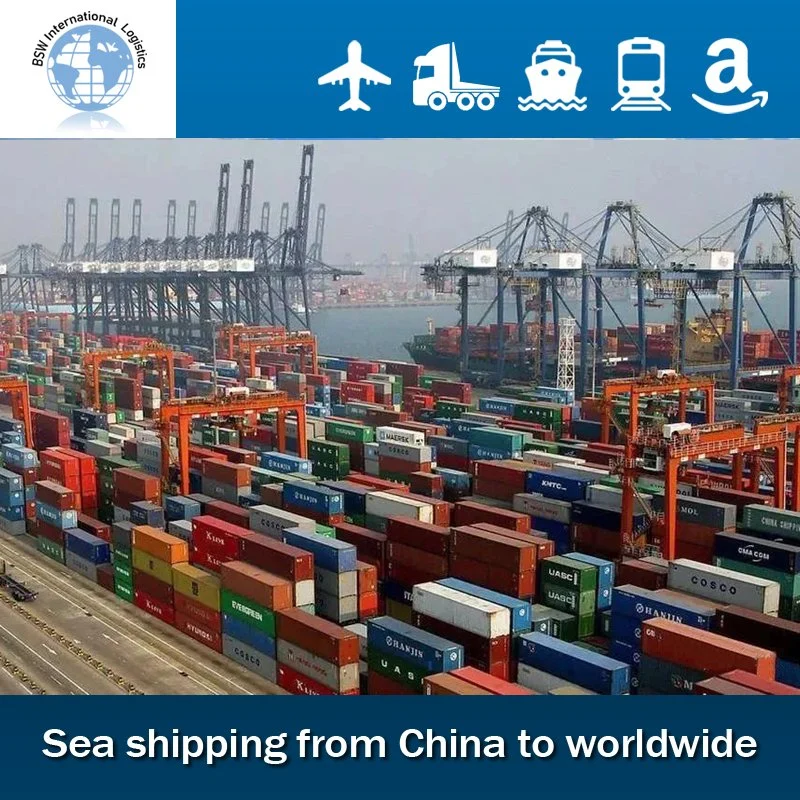 International Sea/Air Shipping From China to Belgium Freight Door to Door DDP/DDU