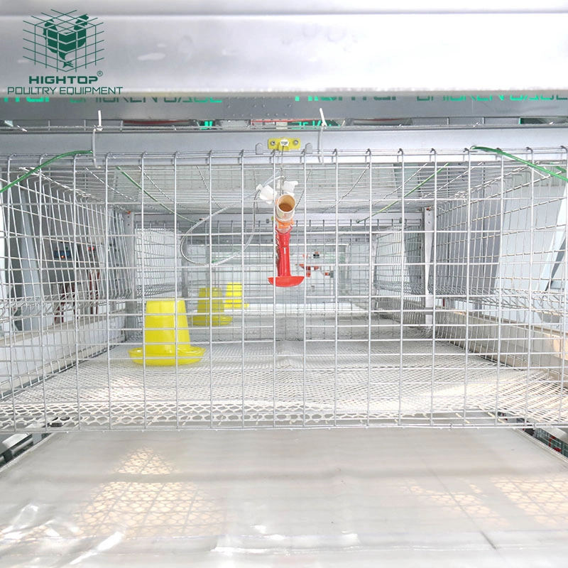 Full Set Poultry Farm Equipment Chicken Cage with Automatic Pan Feeding and Drinking System