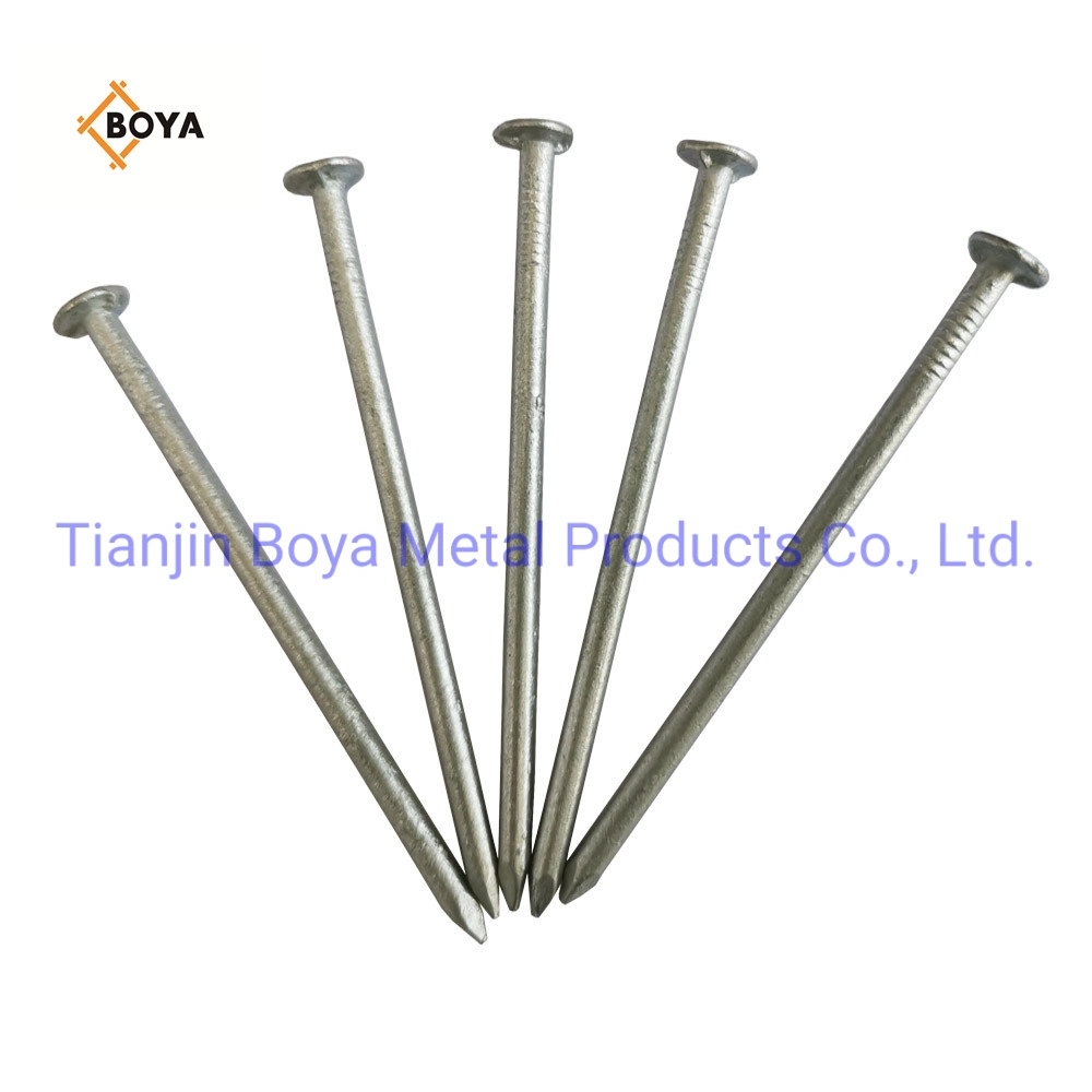 Hot Dipped Galvanized Common Nail/Polished Nail/Building Nail/Iron Nail/Hardware Used for Building Construction