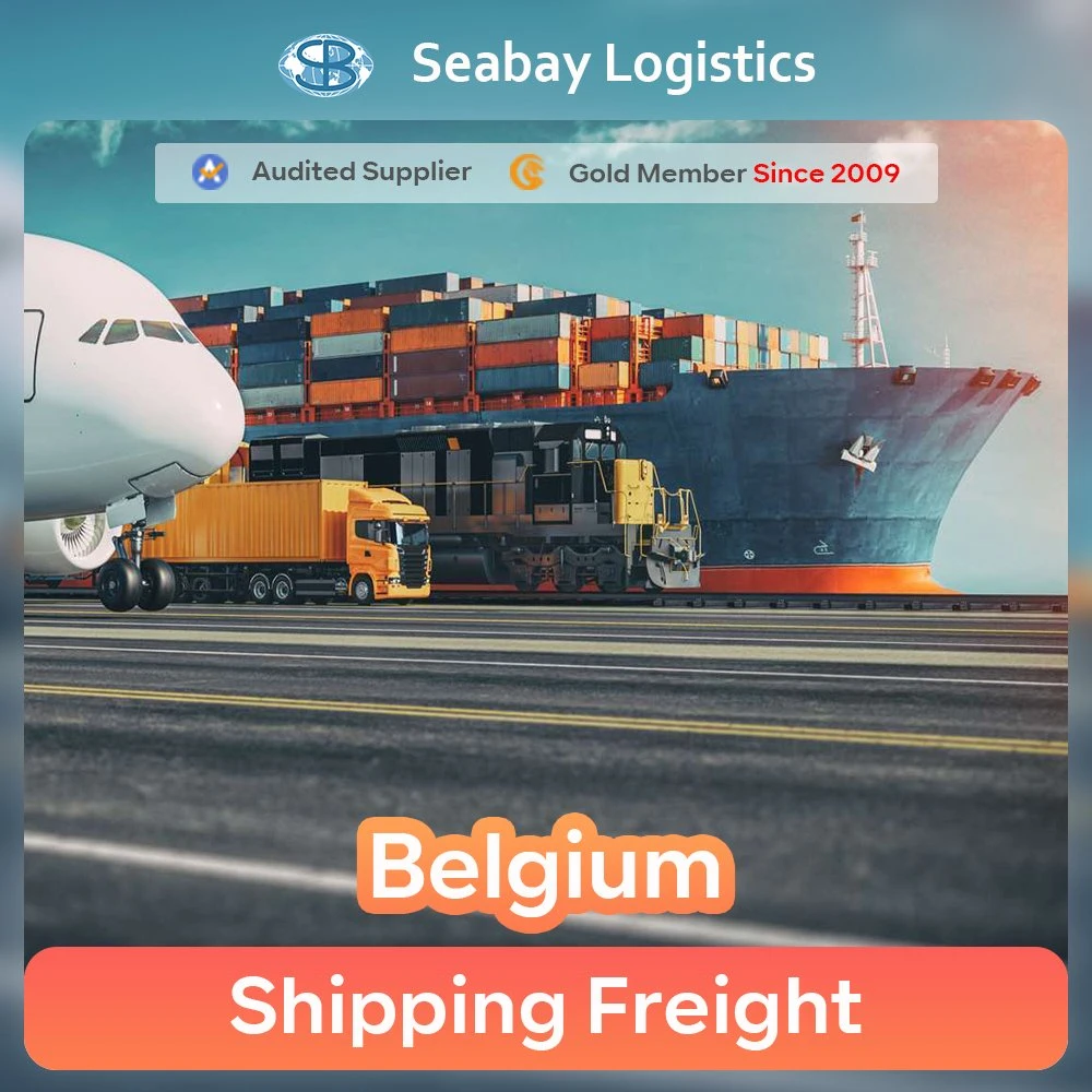 FCL LCL Serviço de transporte marítimo de consolidação de Xangai, China, para Antuérpia, Bélgica