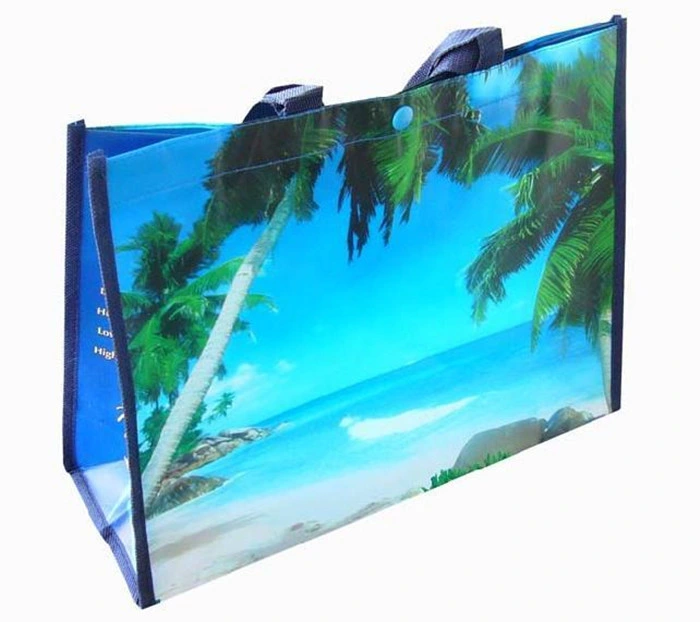 Shopping Carrier Shoulder Fashion Laminated Grocery PP Woven Bag