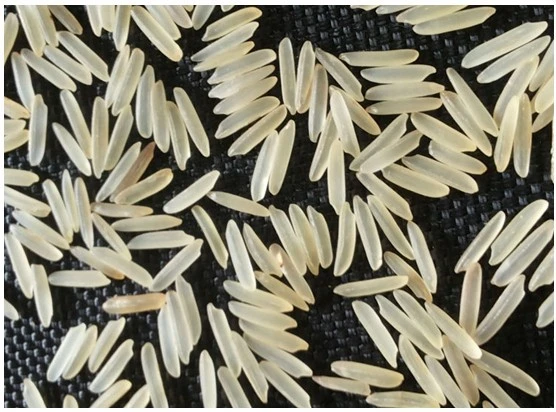 Broken Rice Powder Re-Shaping Machine Nutritional Artificial Rice Making Machine Processing Line