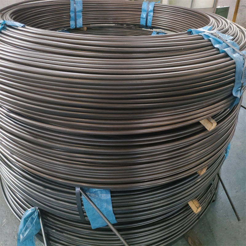 Cold Drawn Spring Steel Wire and Rod with High Quality