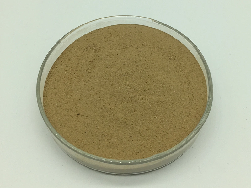 Hot Sell Bacillus Subtilis Probiotic Powder