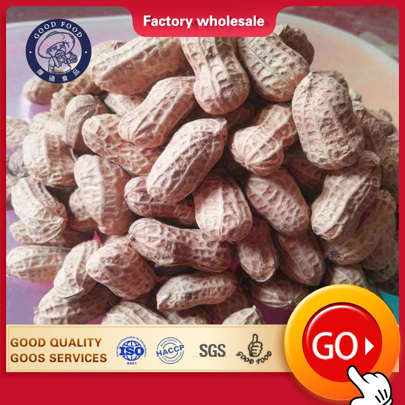 Price Cheap Chinese Peanuts in Shell with Competitive Price