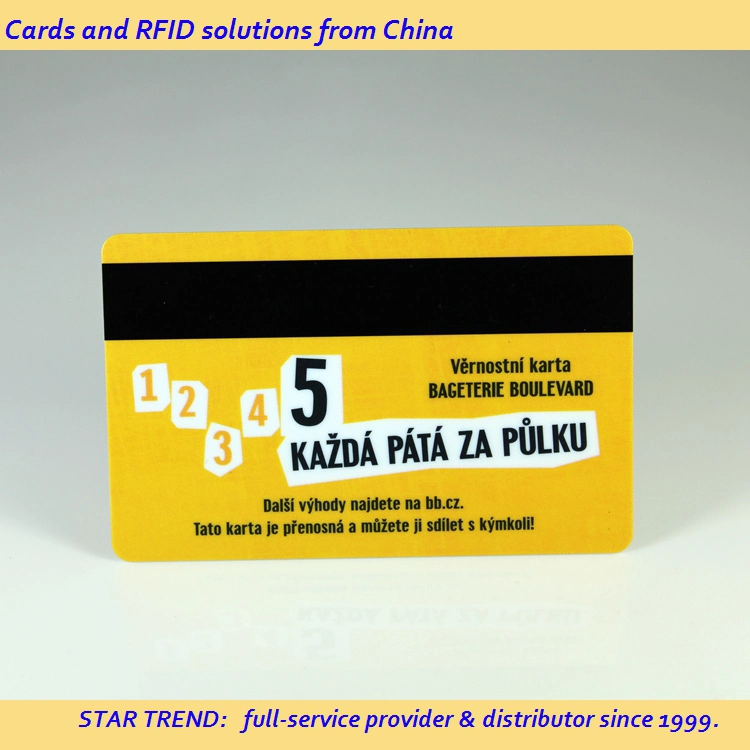 Plastic Membership Gift Card with Magnetic Stripe