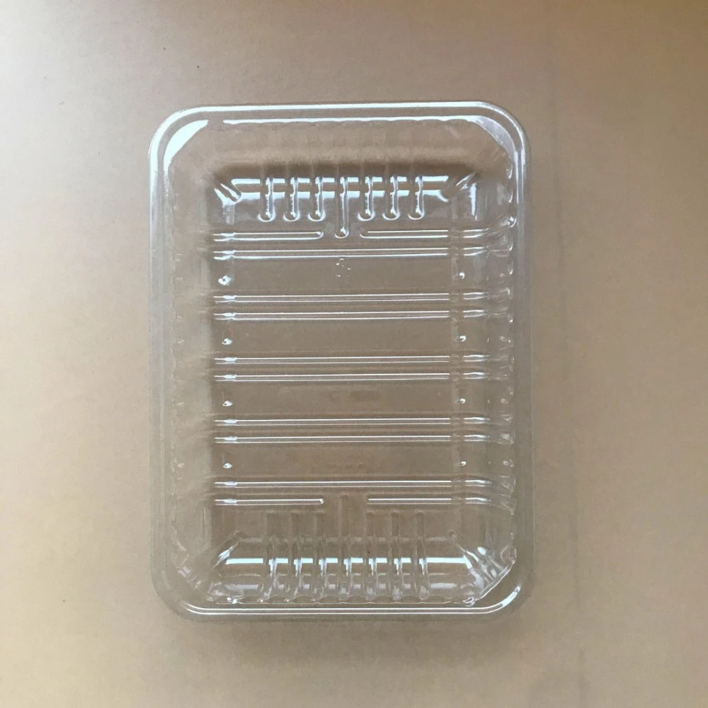 Transparent environmental PP plastic disposable tray