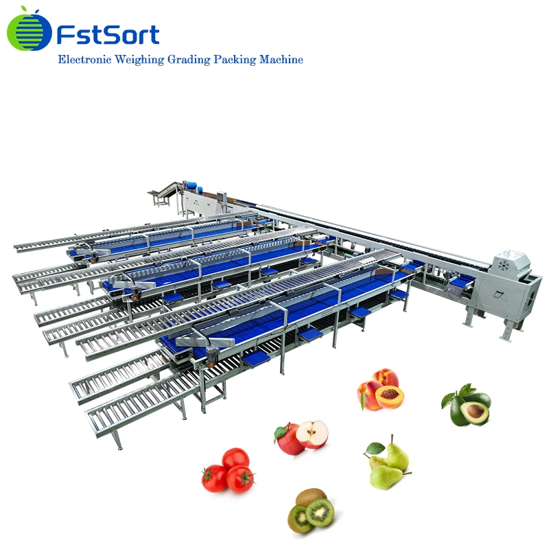 Multi-Function Automatic Food Packaging Machine for Fruit Packing Machine Fruit and Vegetable Packaging Line