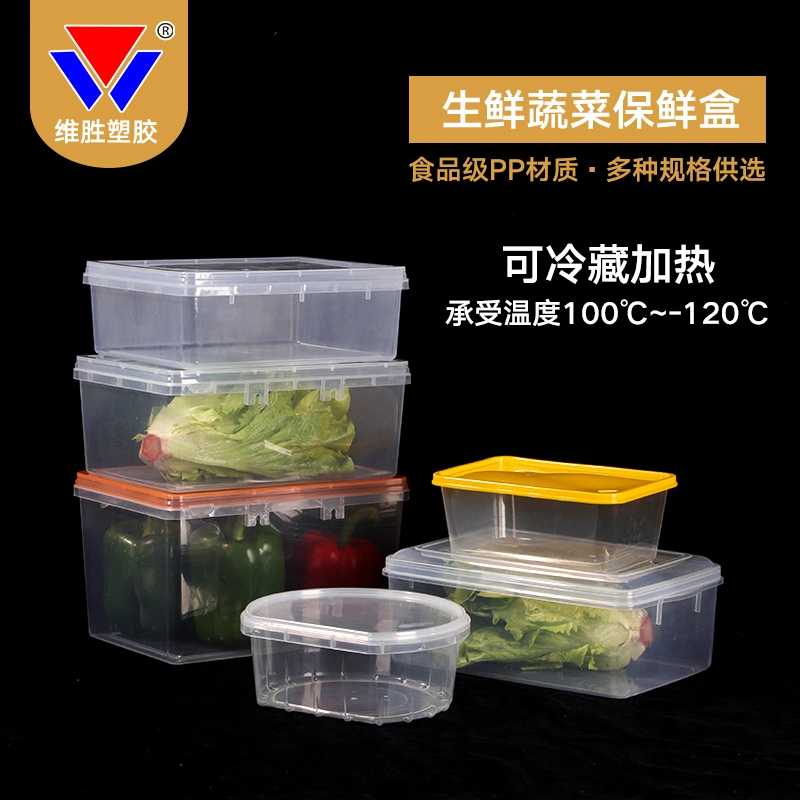 Коробка для консервации печенья PP Пластиковые контейнеры для пищевых продуктов