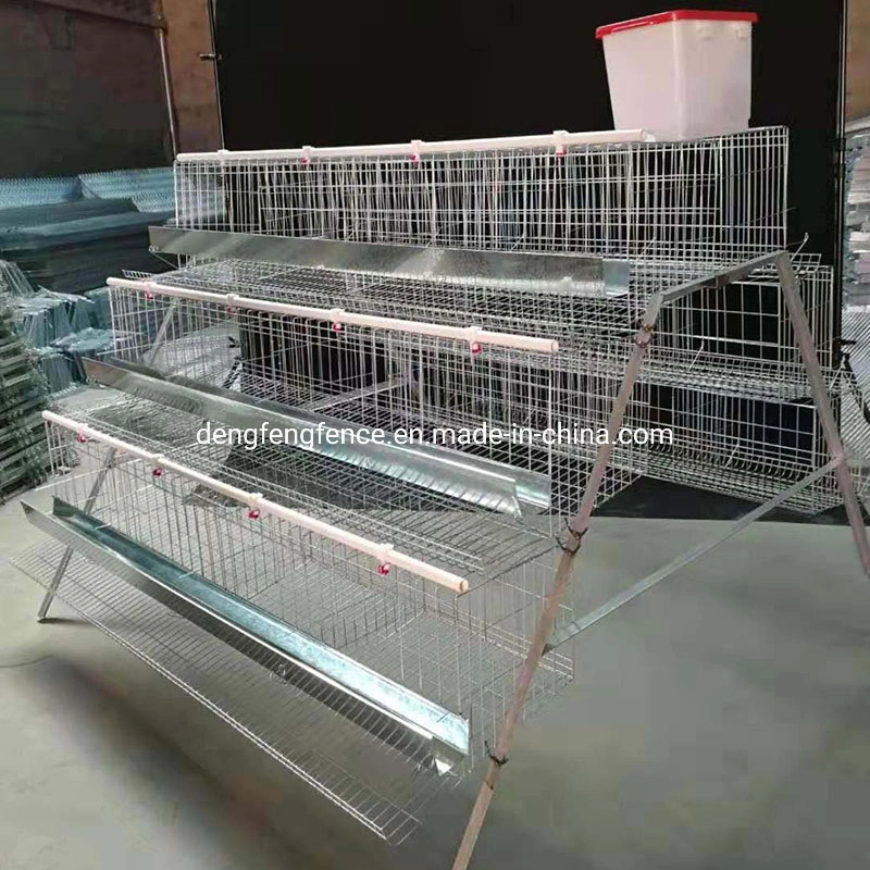 Chicken Cages for Laying Hens Chicken Layer Cage Animal Husbandry Equipment