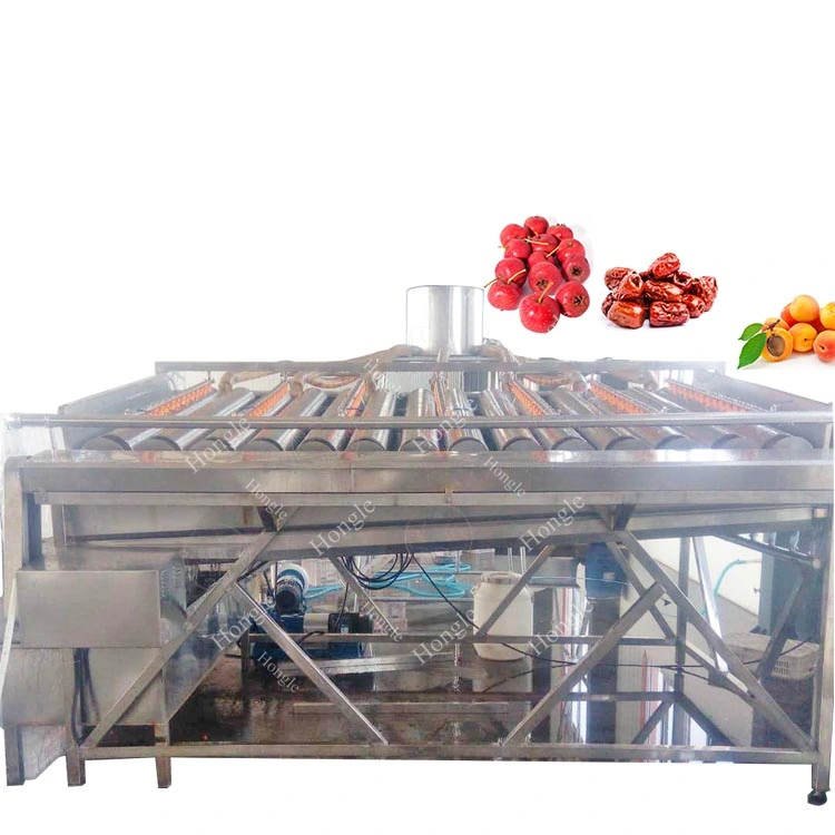 Manufacture Industrial Automatic Lychee Corer Apples Cleaning and Longan Fruit Grading Machine