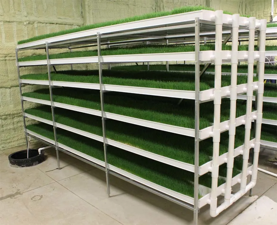 صينيات علف بلاستيكية عالية الجودة من Hydroponic لنمو الثوم