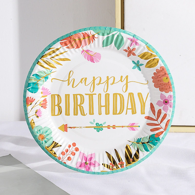 Colorful Plates Set of 10 PCS Disposable Paper Plates Set for Birthday Party