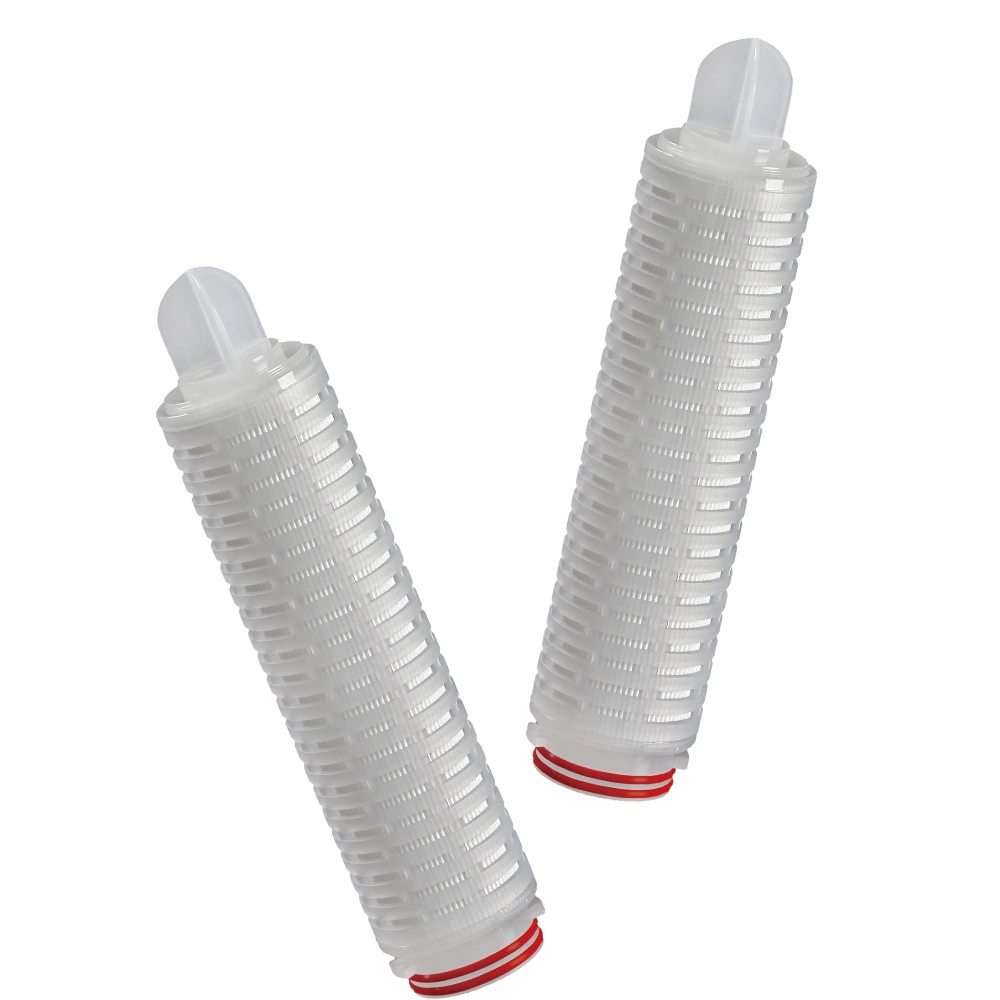 Darlly 0.45+0.22um High Safety Double Layer Polyethersulfone (PES) Membrane Pleated Filter Cartridgefor Final Sterile Filtration