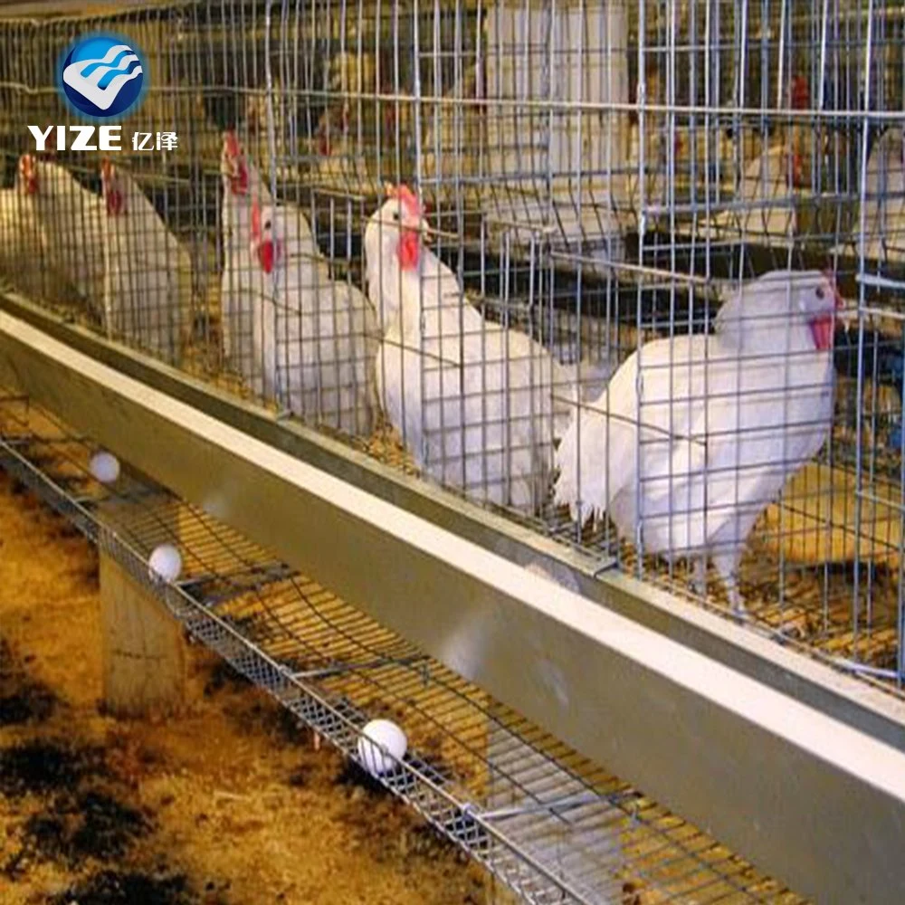 Venta caliente un tipo galvanizado de 4 capas de la jaula de pollo de granja avícola de Etiopía