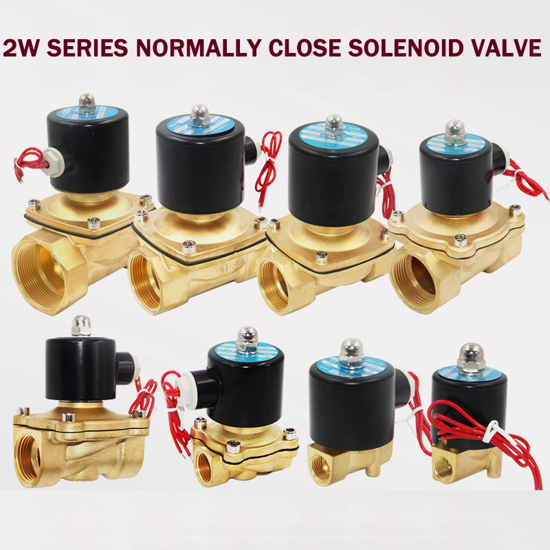 DN35 1 Inch 2W-350-35 Normally Closed Brass AC220V DC12V DC24V 2 Way Solenoid Ball Valve for Water Oils Air