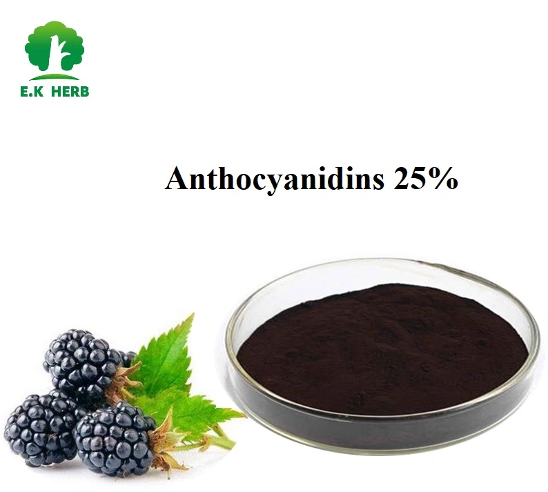 E. K Herb China Manufacturer Top Quality100% Organic Raw Material Food Grade Water Soluble Mulberry Extract Anthocyanin 25% Morus Alba L. Mulberry Fruit Extract