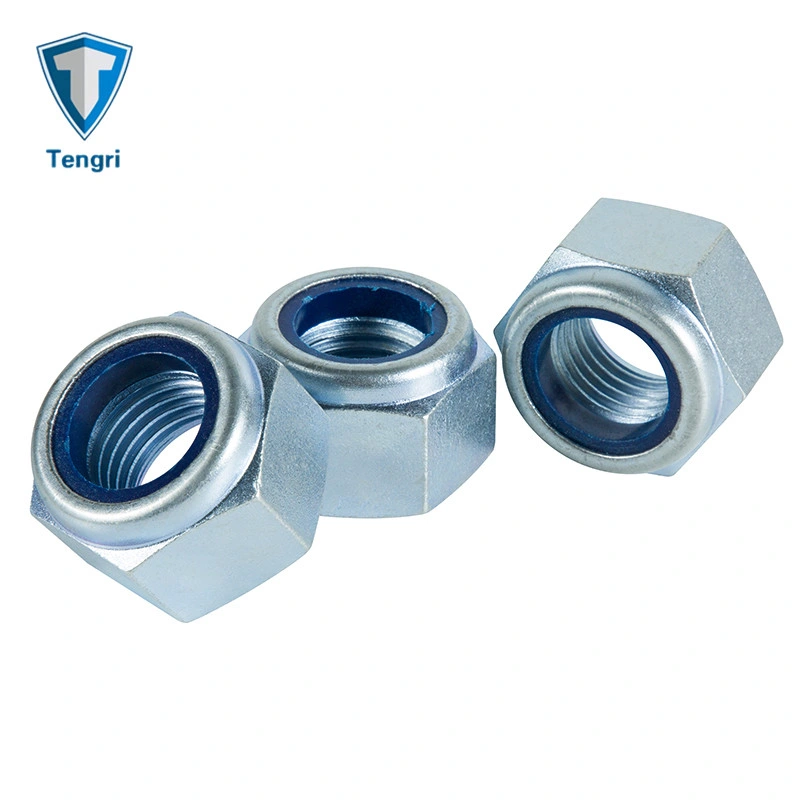 Carbon Steel Hex Nut Special Nut Step Nut Insert Nut