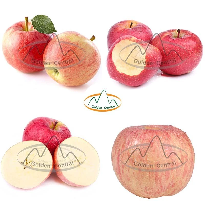 Wholesale Supplier Apple Fresh Red Apple