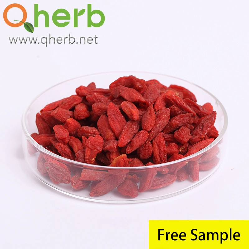 Natural Plant Extract Goji Extract