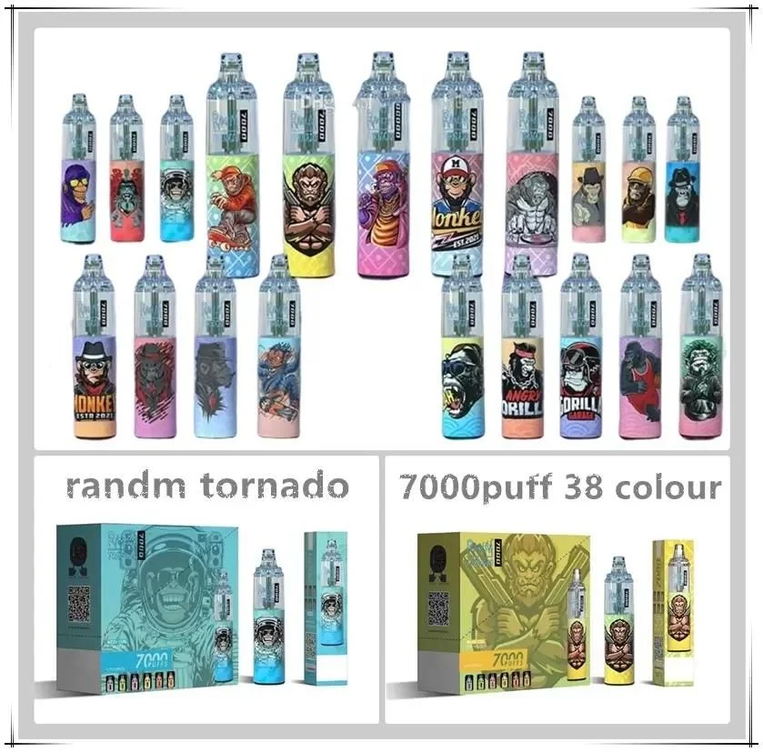 Wholesale/Supplier I Vape Disposable/Chargeable E Cigarette Randm Tornado 7000 Puffs with 14ml E Liquid