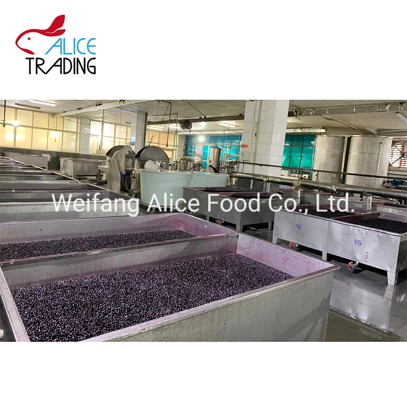 Whole Sale Factory Good Quality Blueberry Whole Blueberry Fruit