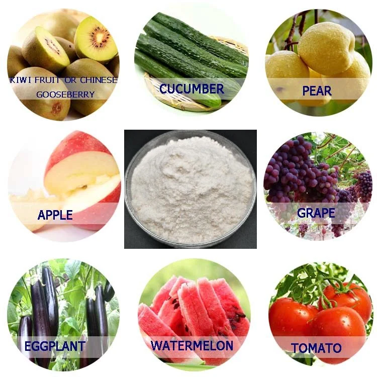 Regulador del crecimiento vegetal 6-bencilaminopurina(6-BA) el 98% TC 2% SL