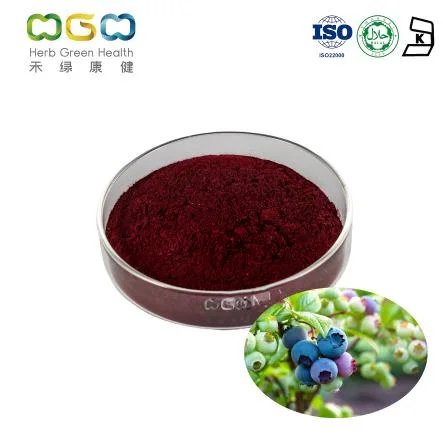 Wholesale Nutrition Supplement European Bilberry Extract