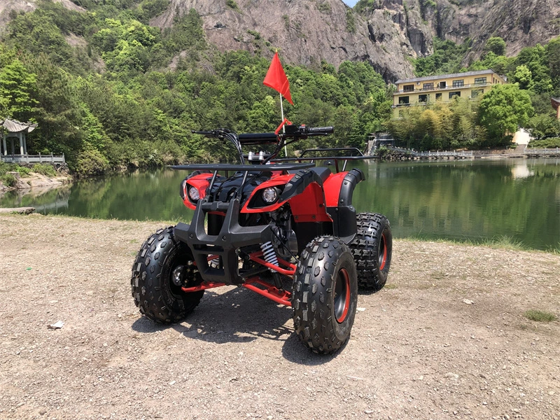 China moto-quatro adultos UTV Electric All Terrain veículo barato venda 125cc Kid ATV