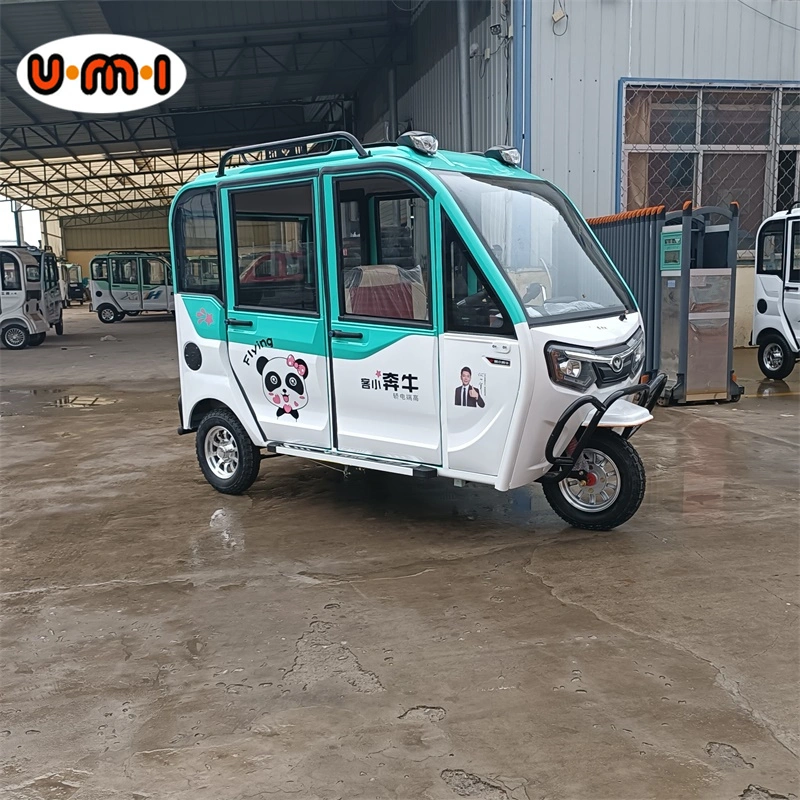 Mini Electric Car Adult Vehicle New Energy Mini Electric Vehicles Mini EV Vehicle for Adults High Speed