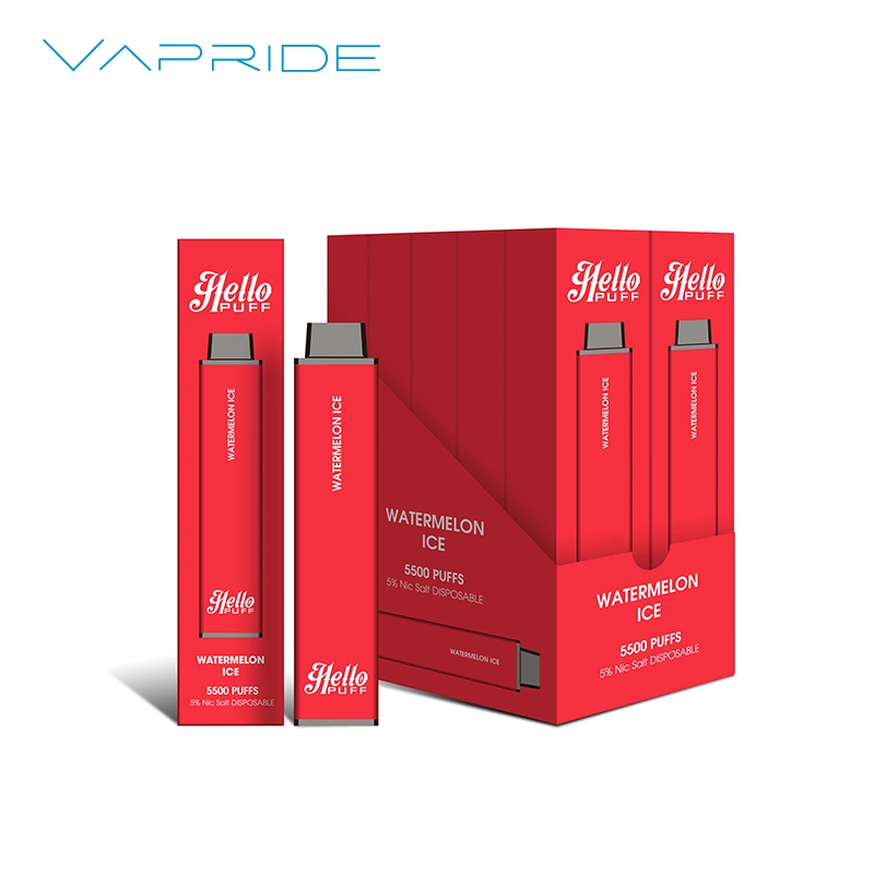 Smoke Vape Pen 10 Fruit Flavors Disposable/Chargeable Vaporizer Electronic Cigarette Pod 5500puffs