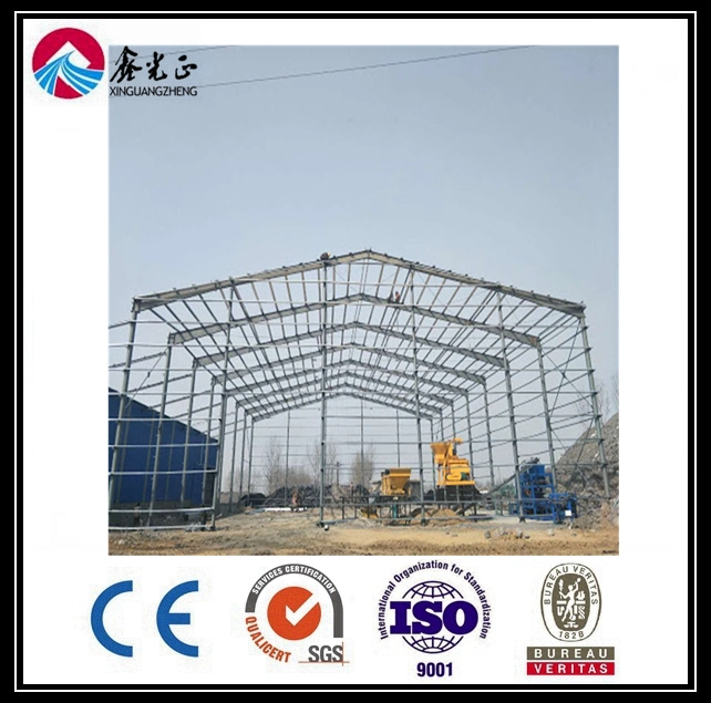 Prefabricated Steel Structure Sports Hall/Basketball Stadium with Steel Framework (BYSS-101)