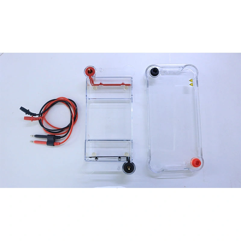 Laboratorio de la transferencia de la Electroforesis en Gel Biobase Sistema de depósito de electroforesis horizontal