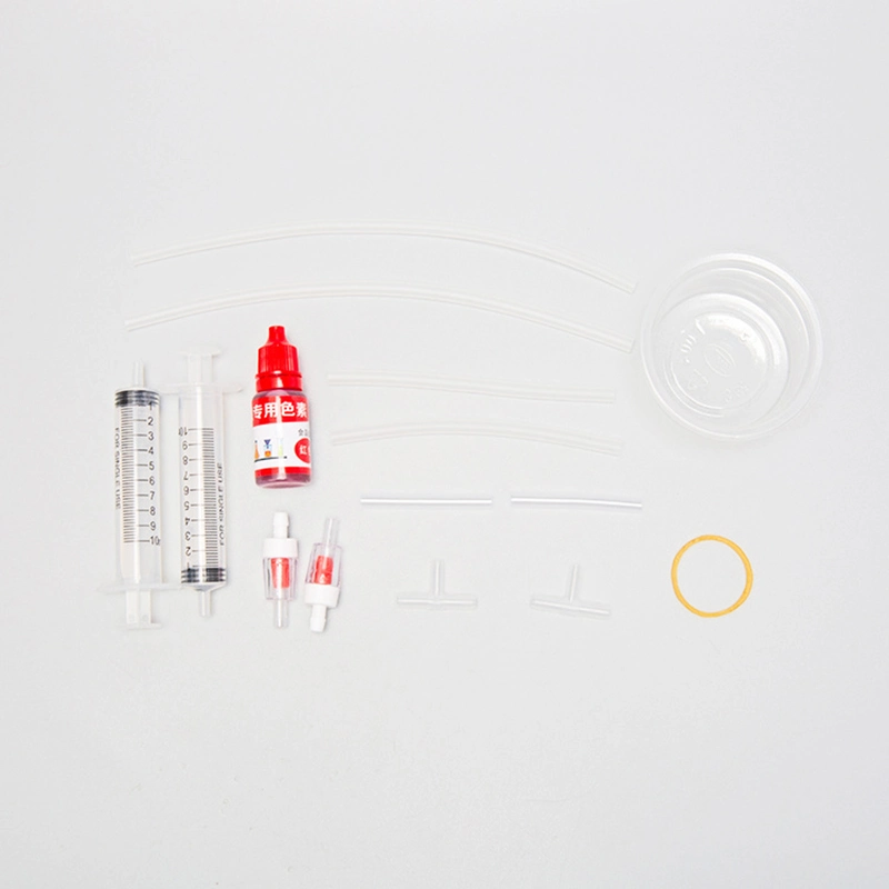 Système de circulation sanguine humaine en modèle d'enseignement médical DIY Jouets éducatifs d'apprentissage simples.