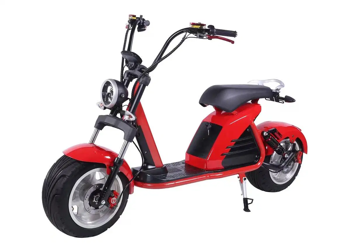 Factory Directly Cheap Adult Electrical Adult Riding Scooters Citycoco Motorcycles Electrical